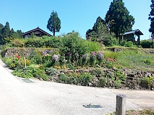 Ainokura 5