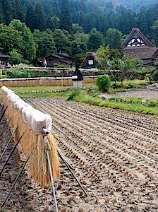 Shirakawa-go 3